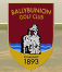 Thumbnail image for Sun and Gales at Ballybunion